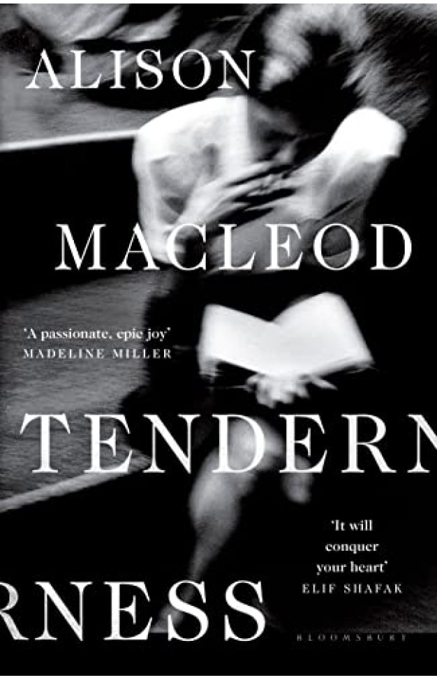ALISON MACLEOD TENDERNESS