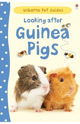 Looking After Guinea Pigs