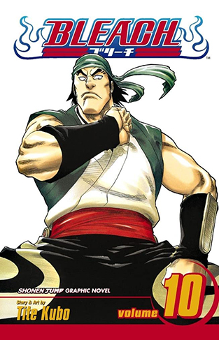 Bleach: v. 10: Tattoo on the Sky: Volume 10