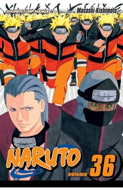 Naruto, Vol. 36
