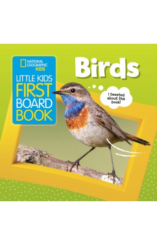 Little Kids First Board Book: Birds (First Board Books)