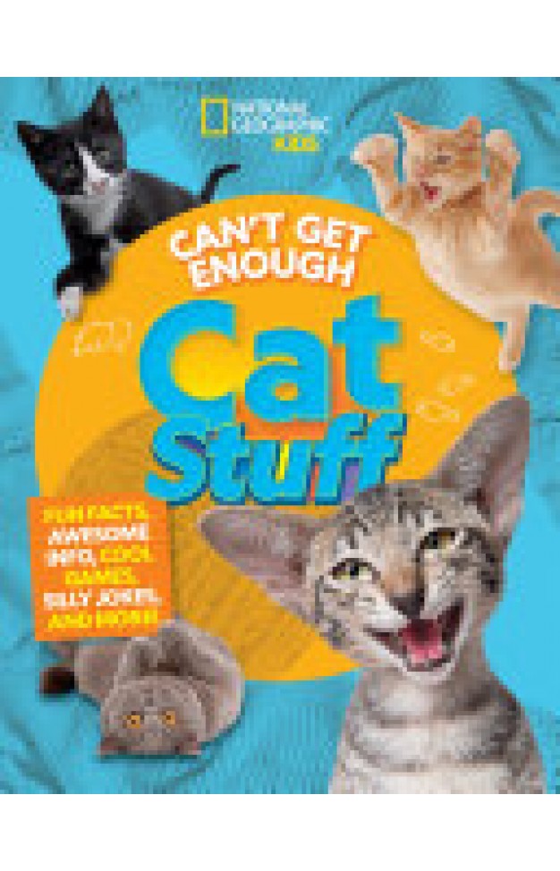 Can't Get Enough Cat Stuff
