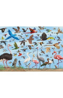 All The Birds 1000 Piece Jigsaw Puzzle 