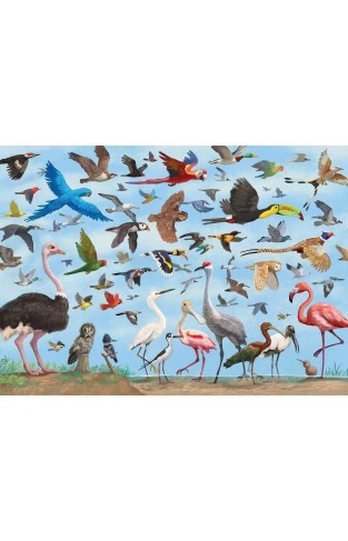 All The Birds 1000 Piece Jigsaw Puzzle