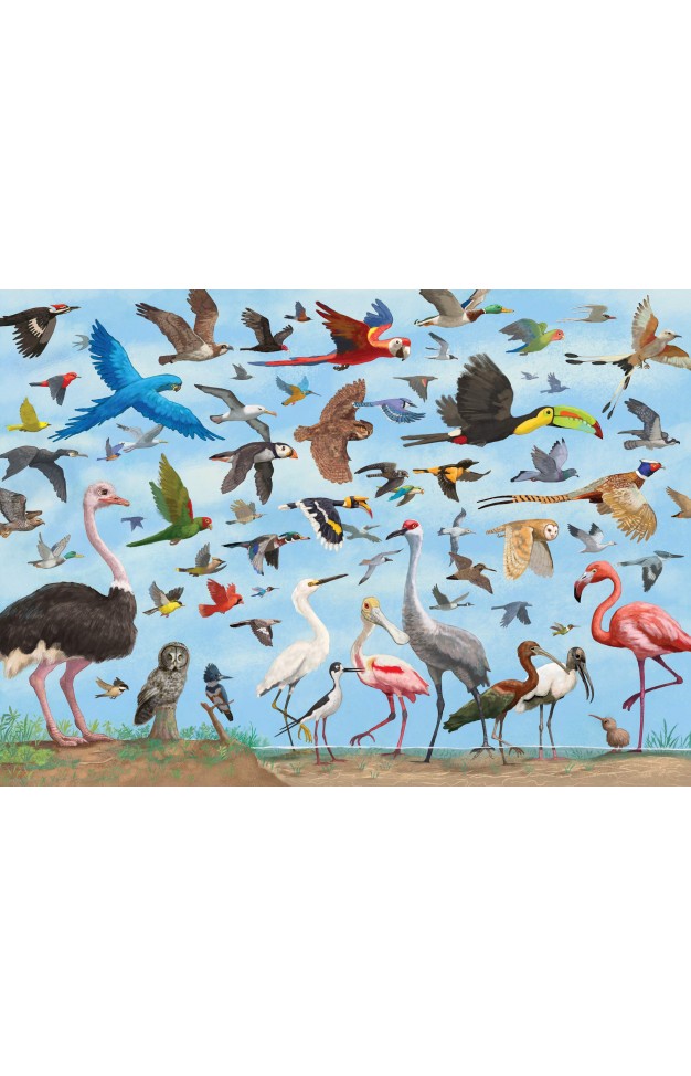All The Birds 1000 Piece Jigsaw Puzzle 