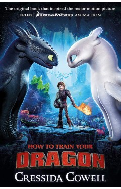 How to Train Your Dragon