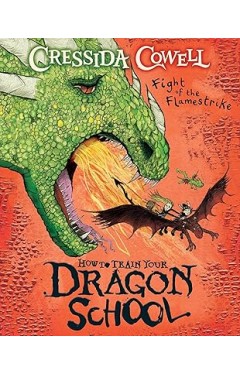 How To Train Your Dragon School