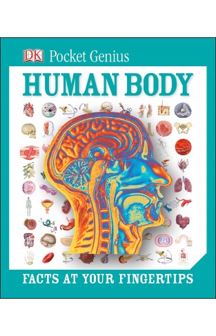 Human Body - Facts at Your Fingertips