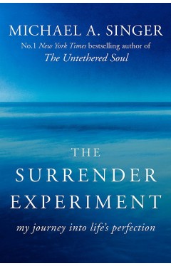 The Surrender Experiment - My Journey Into Life's Perfection