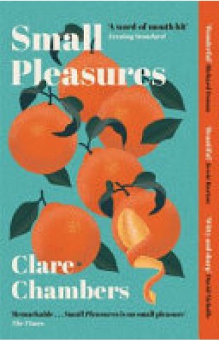 Small Pleasures: Longlisted for the Women’s Prize for Fiction 2021