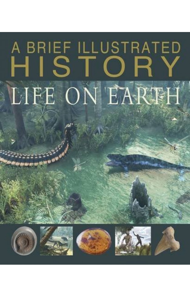 A Brief Illustrated History of Life on Earth