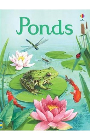 Young Beginners Ponds