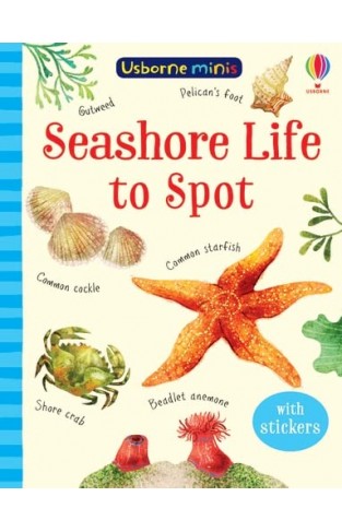 Seashore Life to Spot (Usborne Mini Books): 1 (Usborne Minis)