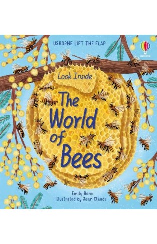 Look Inside the World of Bees: 1