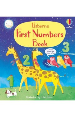 First Numbers Book