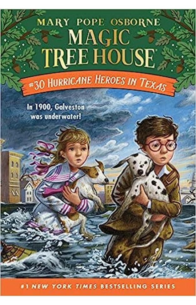 Hurricane Heroes in Texas