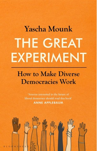 The Great Experiment: How to Make Diverse Democracies Work