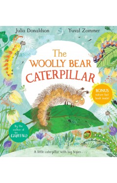 The Woolly Bear Caterpillar