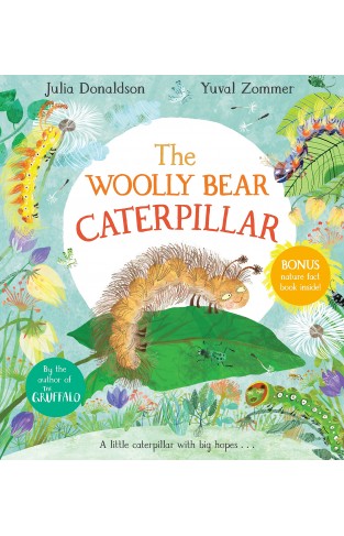 The Woolly Bear Caterpillar