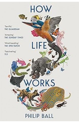 How  Life Works