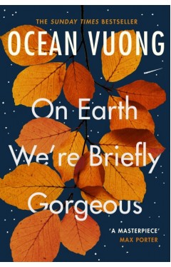 On Earth We're Briefly Gorgeous