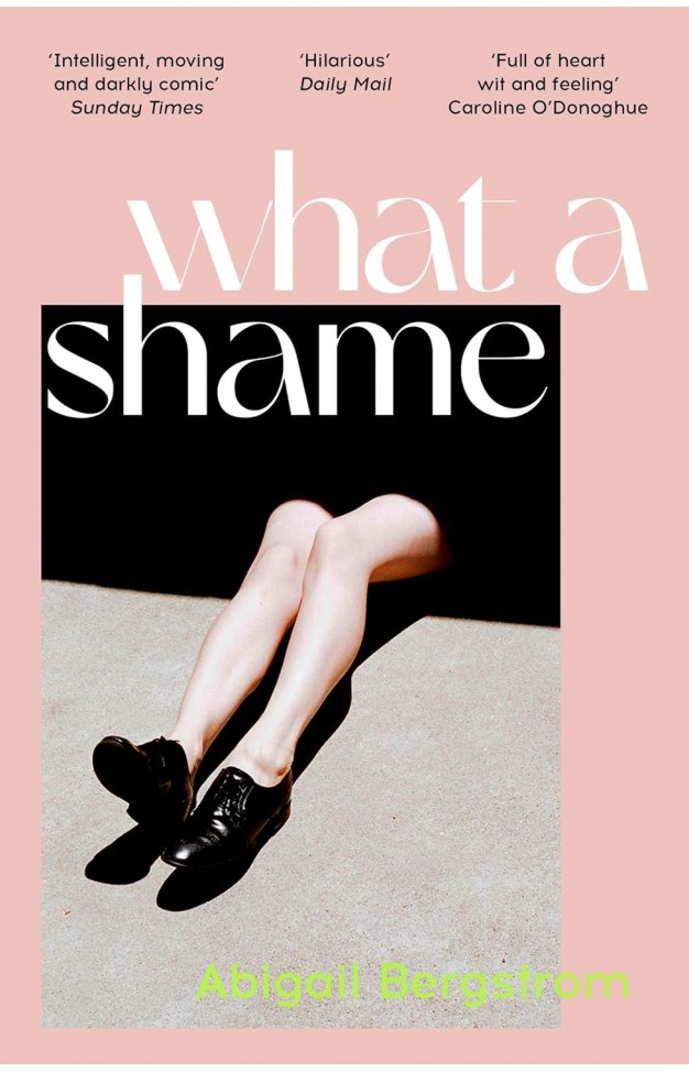 What a Shame: 'Intelligent, moving and darkly comic' The Sunday Times