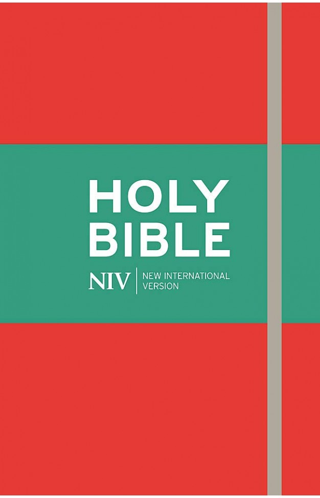NIV Thinline Red Soft-Tone Bible