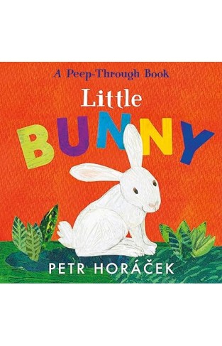 Little Bunny