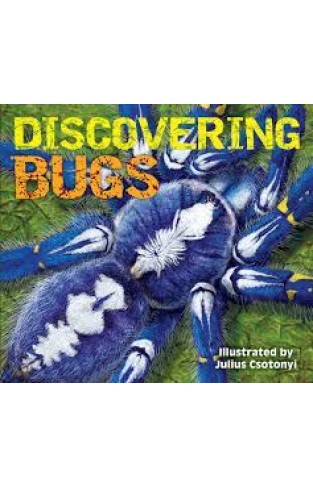 Discovering Bugs: Meet the Coolest Creepy Crawlies on the Planet Hardcover – Illustrated, June 6, 2017
