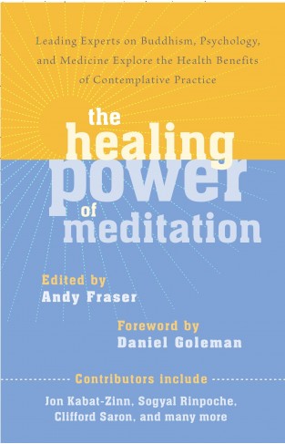 The Healing Power of Meditation - Leading Experts on Buddhism, Psychology, and Medicine Explore the Health Benefits of Contemplative Practice