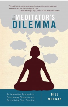 The Meditator's Dilemma - An Innovative Approach to Overcoming Obstacles and Revitalizing Your Practice