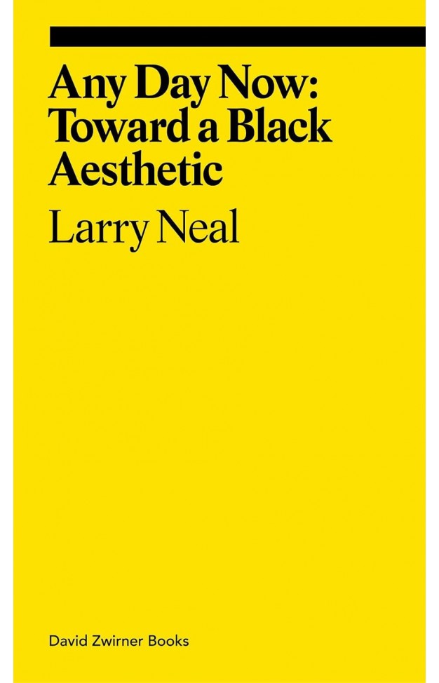 Any Day Now Toward a Black Aesthetic