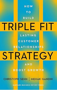 Triple Fit Strategy - How Successful Companies Move from Value Selling to Value Creation