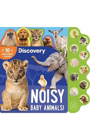 Discovery: Noisy Baby Animals!