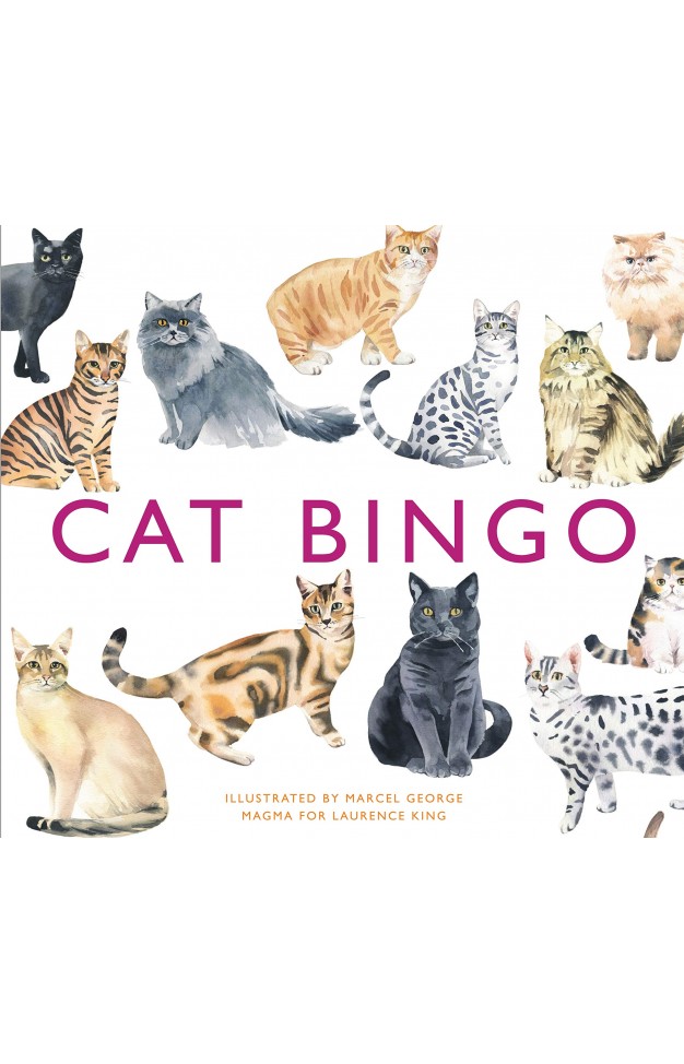 Cat Bingo