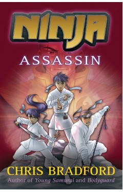 Ninja: Assassin (Ninja 3)