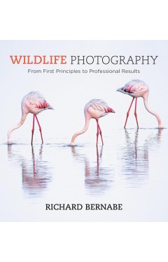 Wildlife Photography