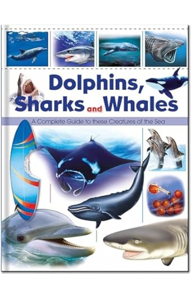 Dolphins, Sharks and Whales