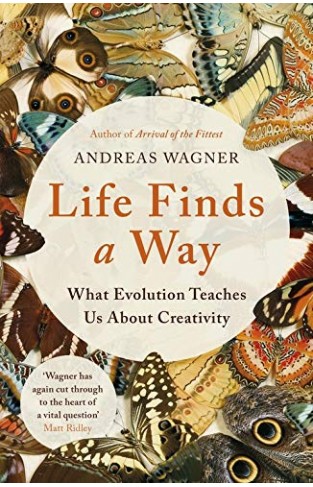 Life Finds a Way - What Evolution Teaches Us about Creativity