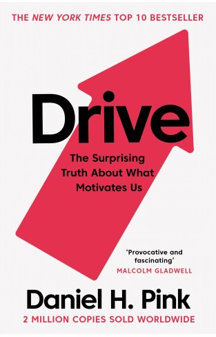 Drive : The Surprising Truth About What Motivates Us