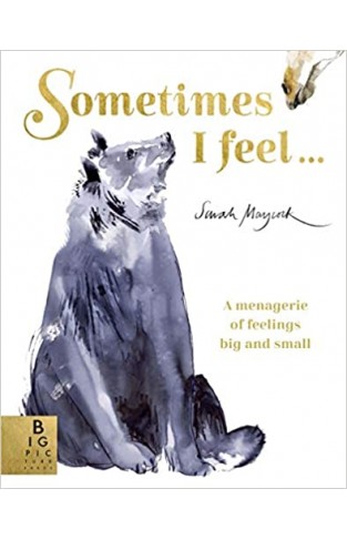 Sometimes I Feel ...: A Menagerie of Feelings Big and Small