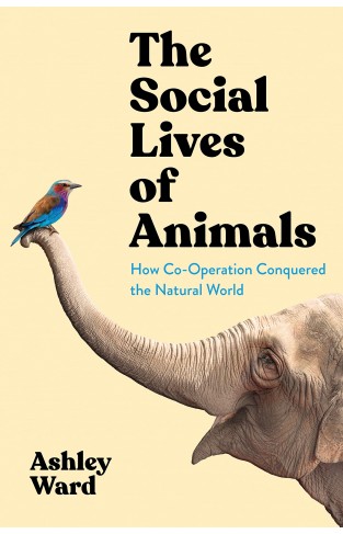 The Social Lives of Animals - How Co-Operation Conquered the Natural World