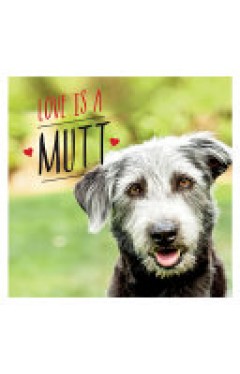 Love Is a Mutt - A Dog-Tastic Celebration of the World's Cutest Mixed and Cross Breeds