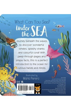 What Can You See  Under the Sea