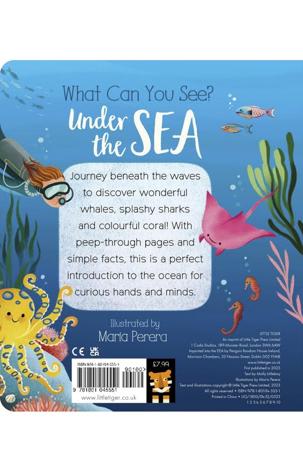 What Can You See  Under the Sea
