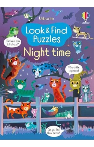 Look and Find Puzzles Night Time