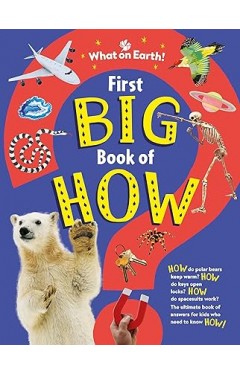 First Big Book of How