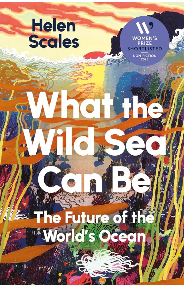 What the Wild Sea Can Be