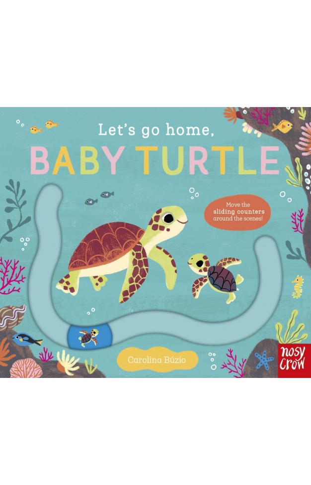 Let s Go Home  Baby Turtle