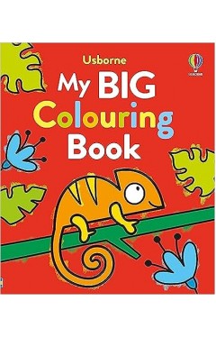 My Big Colouring Book